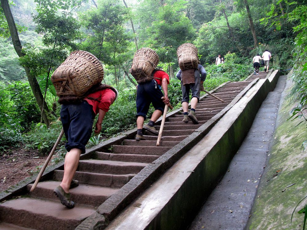 青城山爬山图片