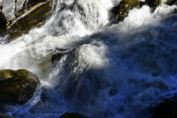 _DSC8131_С.jpg