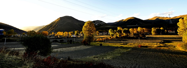 _DSC8316_С.JPG