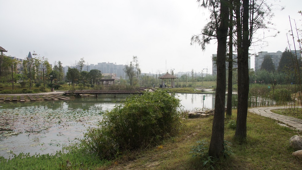DSC06947.jpg
