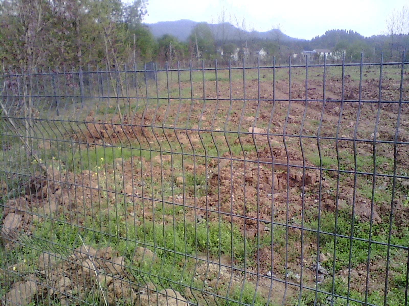 IMG_20130322_163230.jpg
