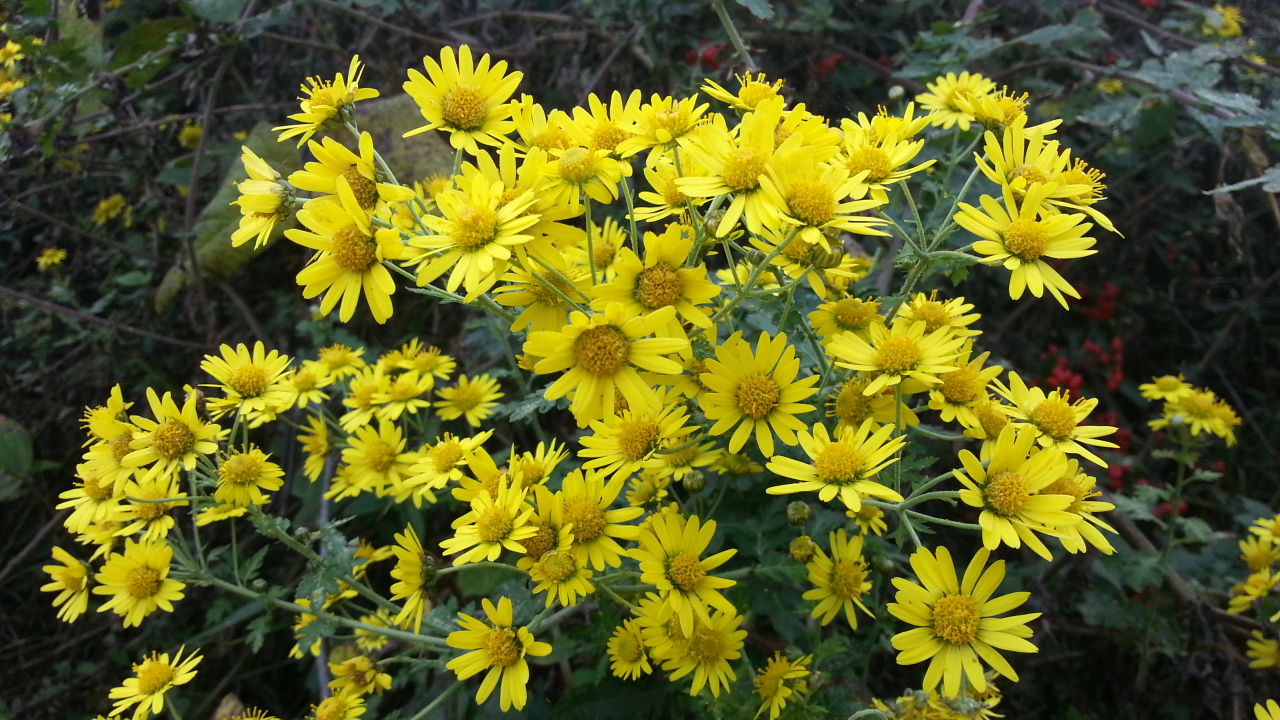 20141026_114358.jpg