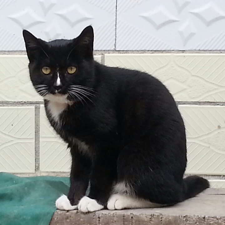 20141026_102144-1.jpg