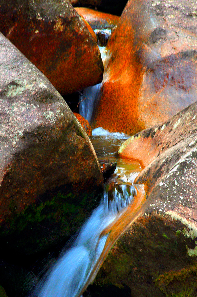 DSC_0183_.jpg