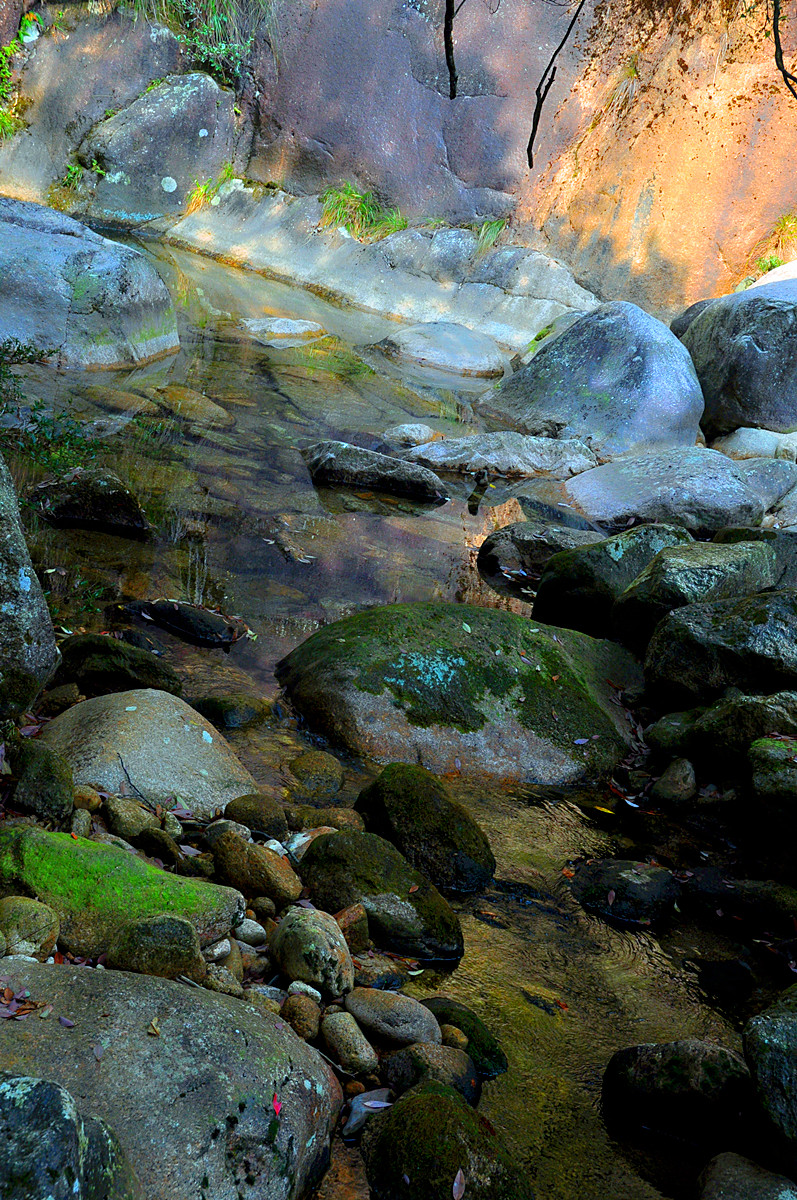 DSC_0123_.jpg