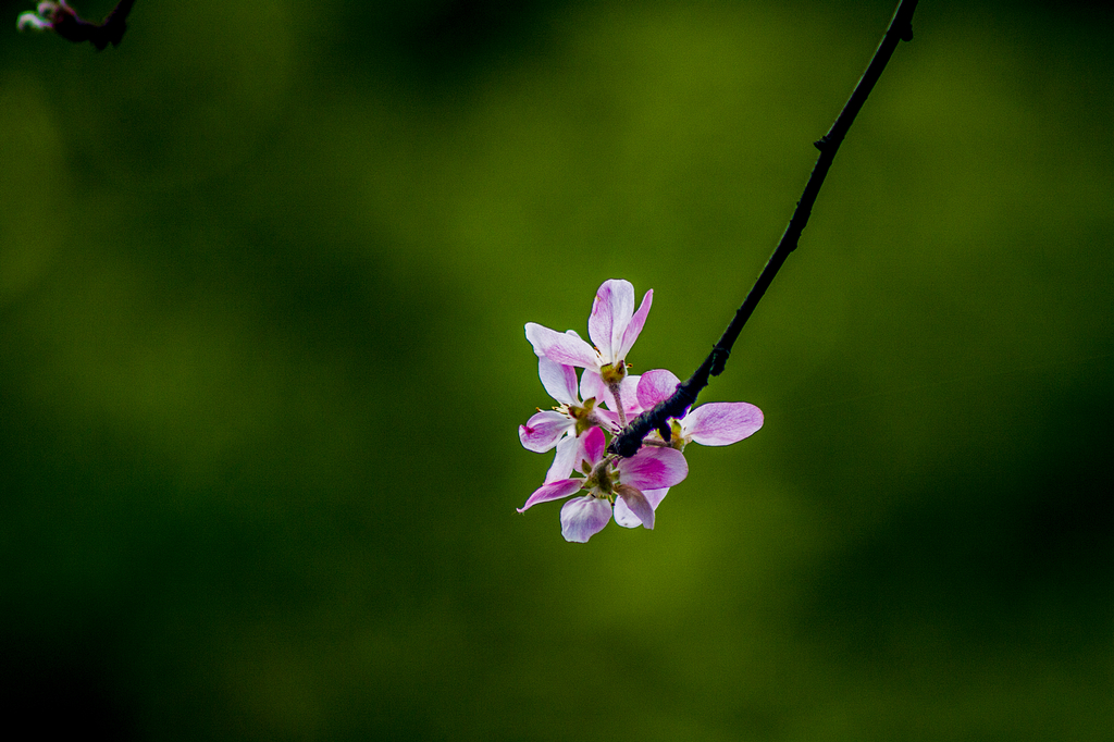 _MG_8819.jpg