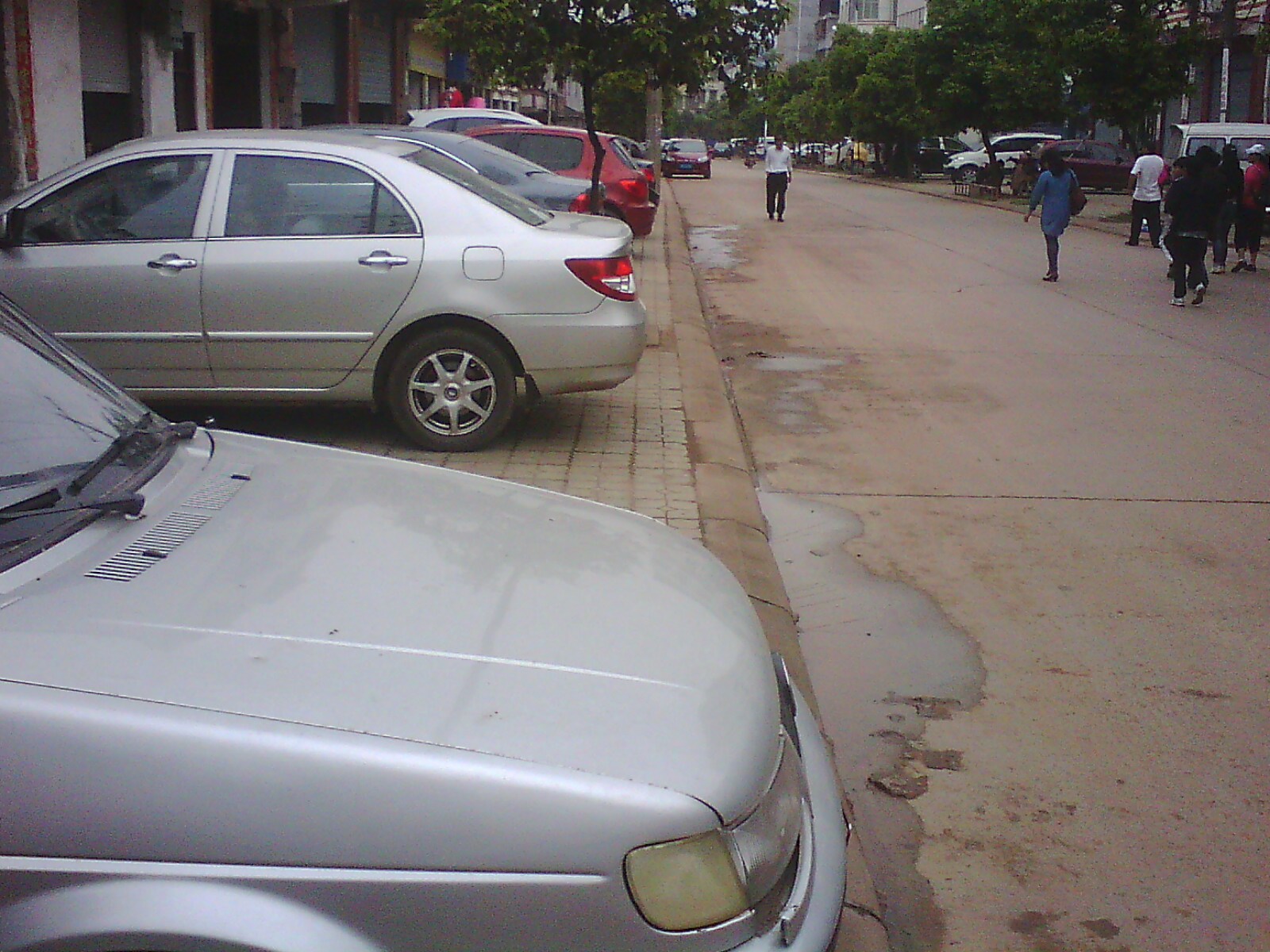 IMG12192.jpg