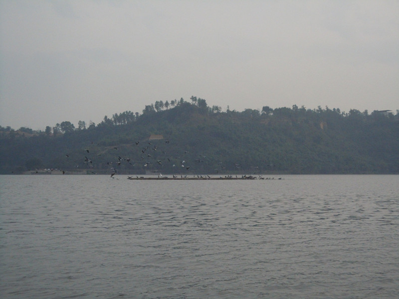 DSCN0924_.jpg