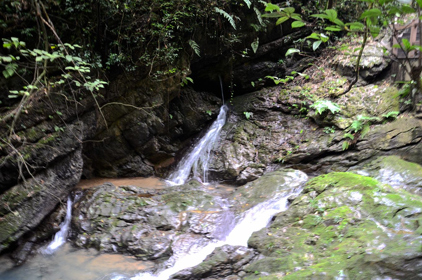 DSC_3878_.jpg