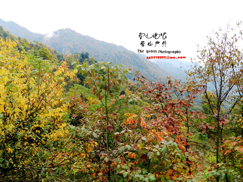 DSCN0056_.jpg