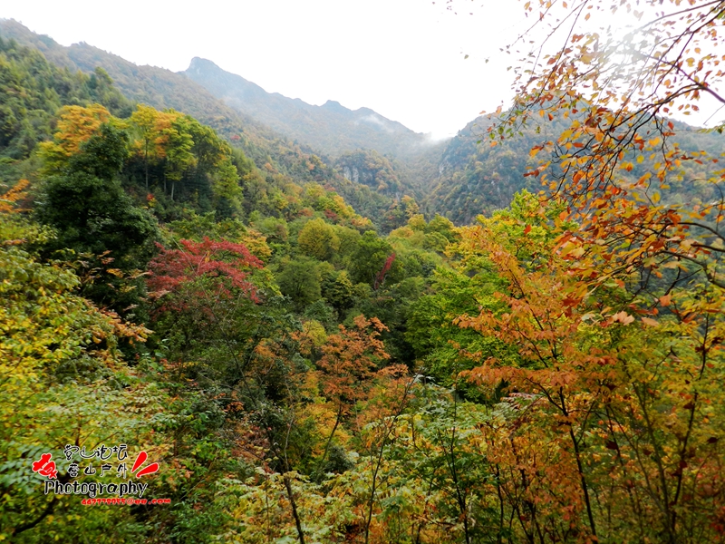 DSCN0070_.jpg