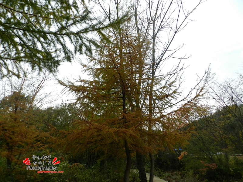 DSCN0087_.jpg