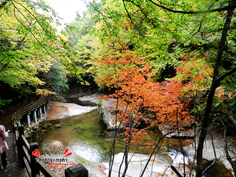 DSCN0119_.jpg