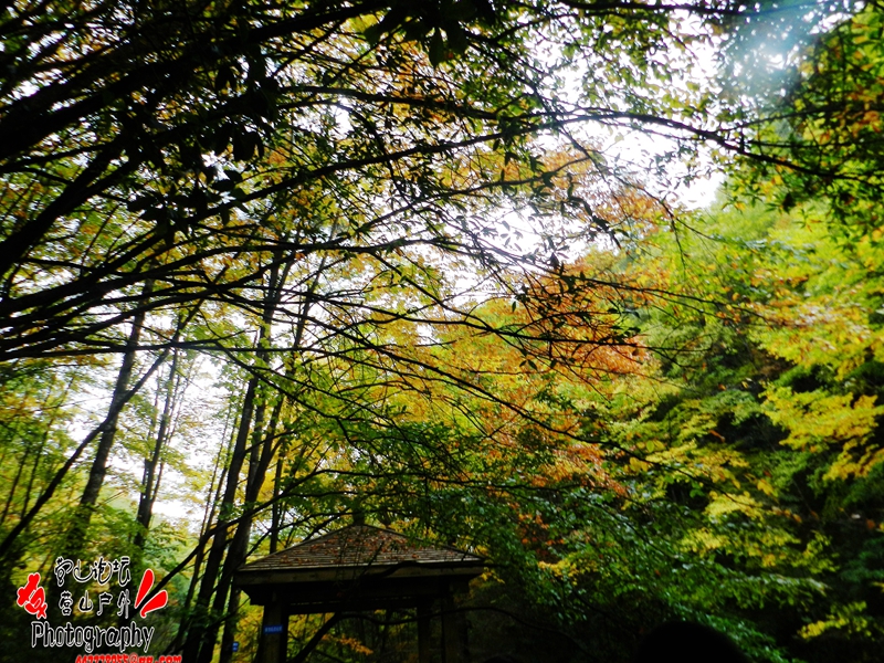 DSCN0126_.jpg