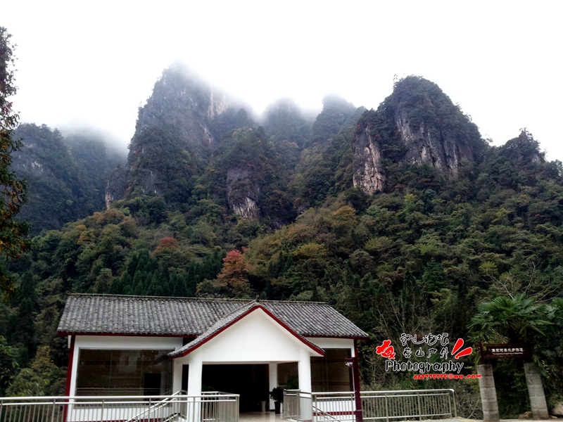 20141023_080557_.jpg