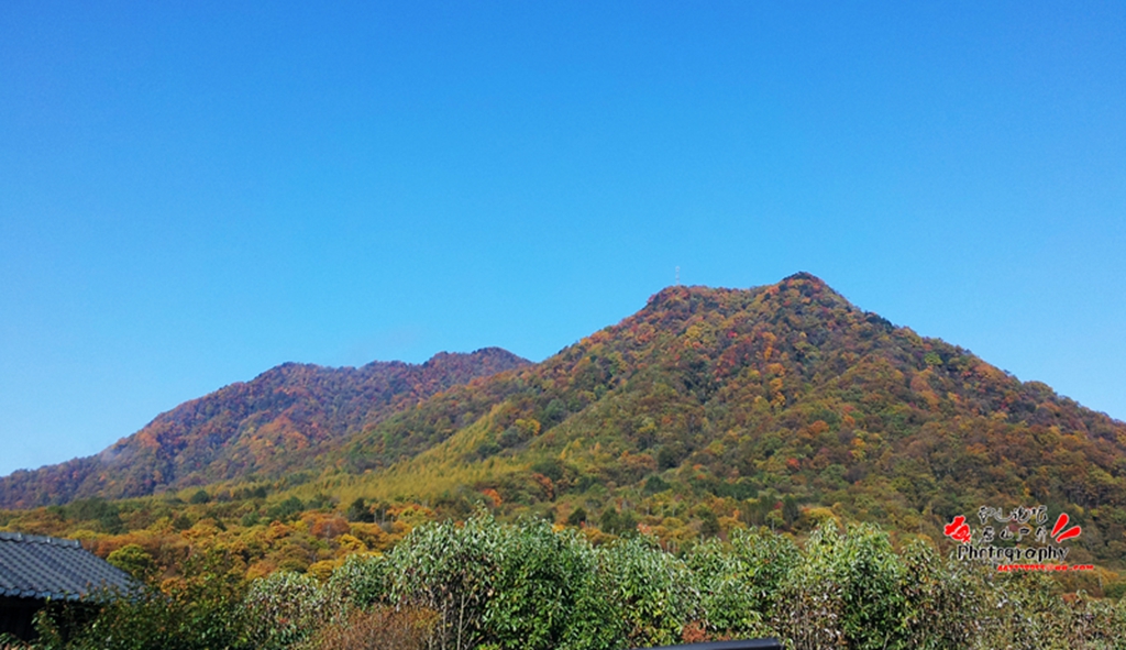 20141023_095200_.jpg