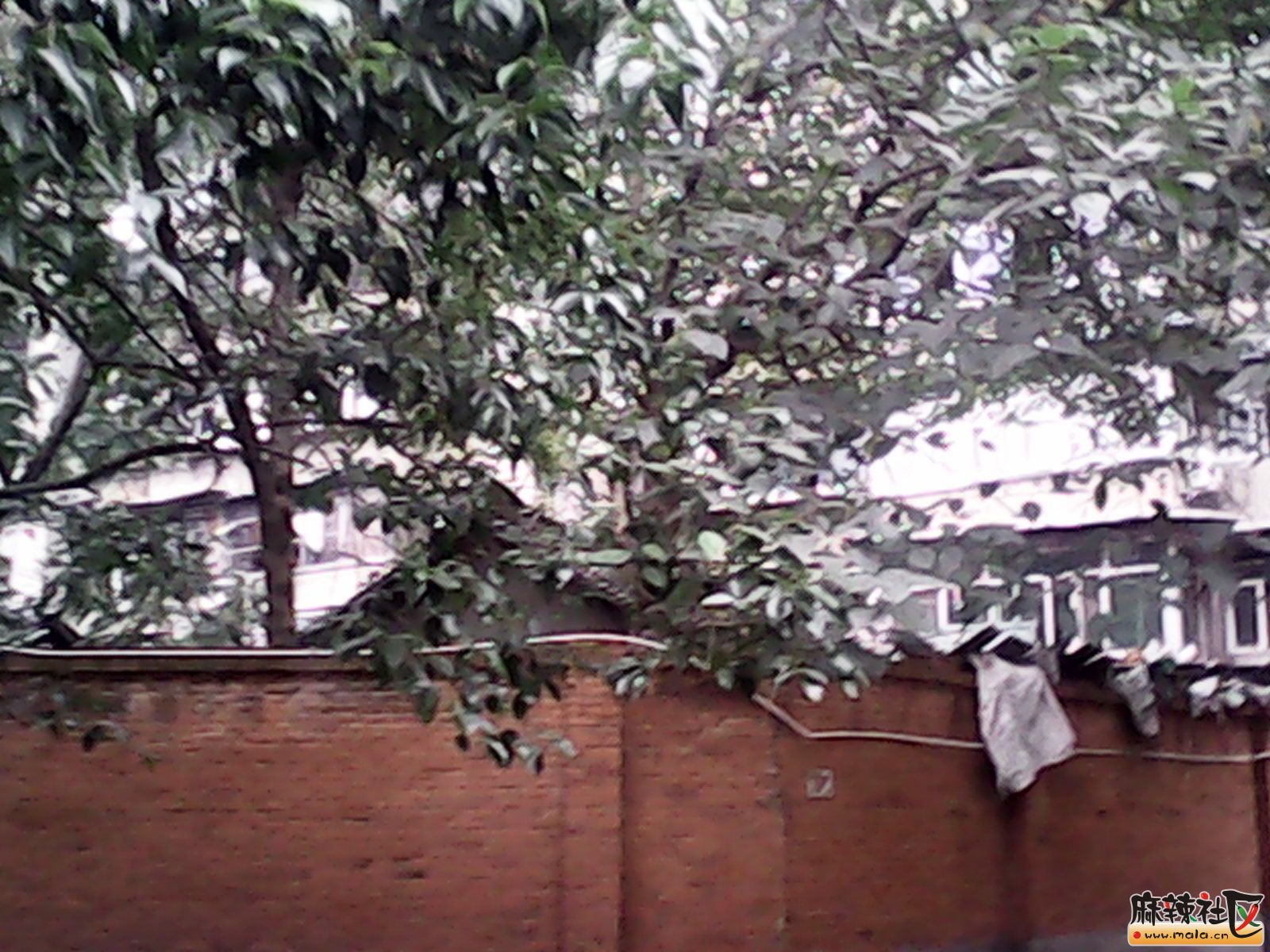 IMG_20130114_174954.jpg