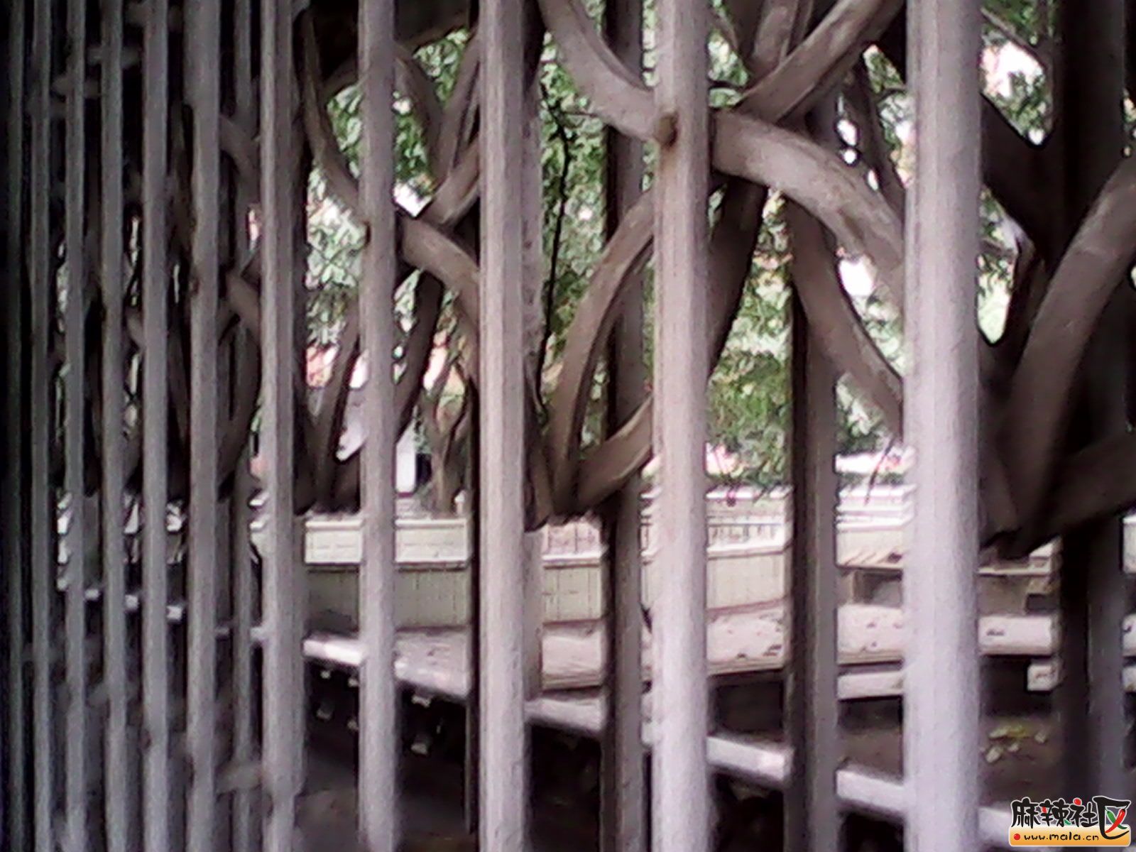 IMG_20130114_175024.jpg
