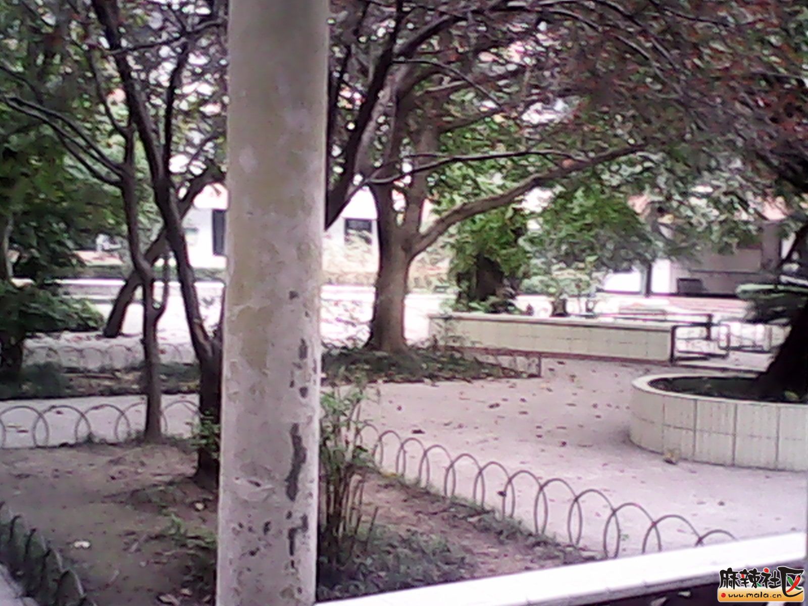 IMG_20130114_175239.jpg
