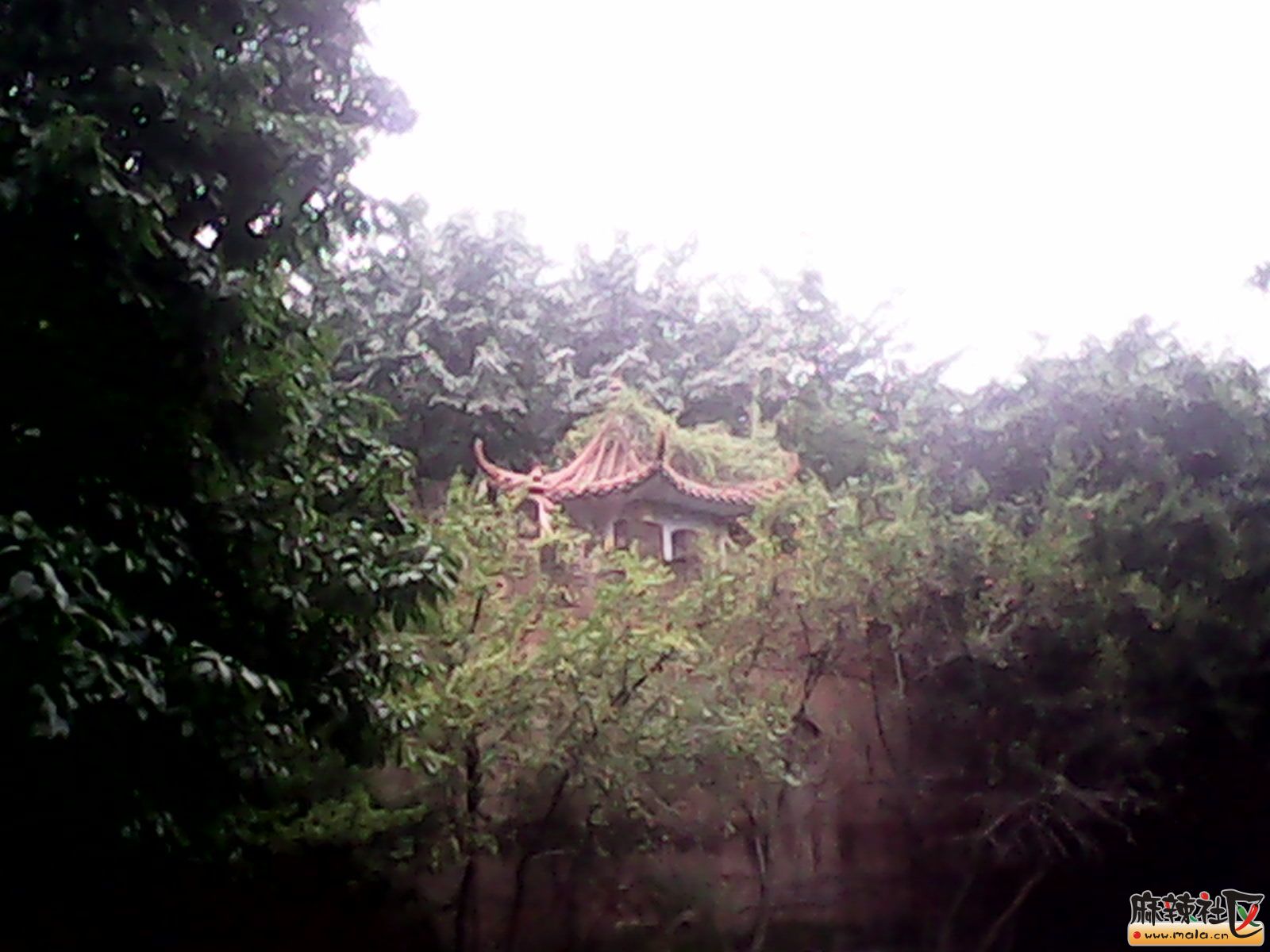 IMG_20130114_175517.jpg