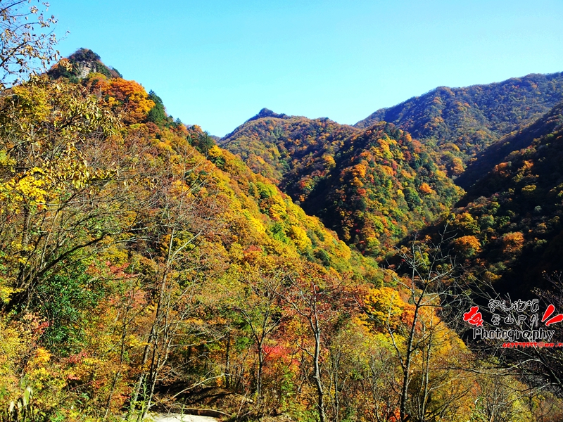 20141023_102159_.jpg