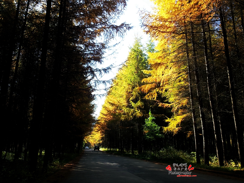 20141023_101008_.jpg