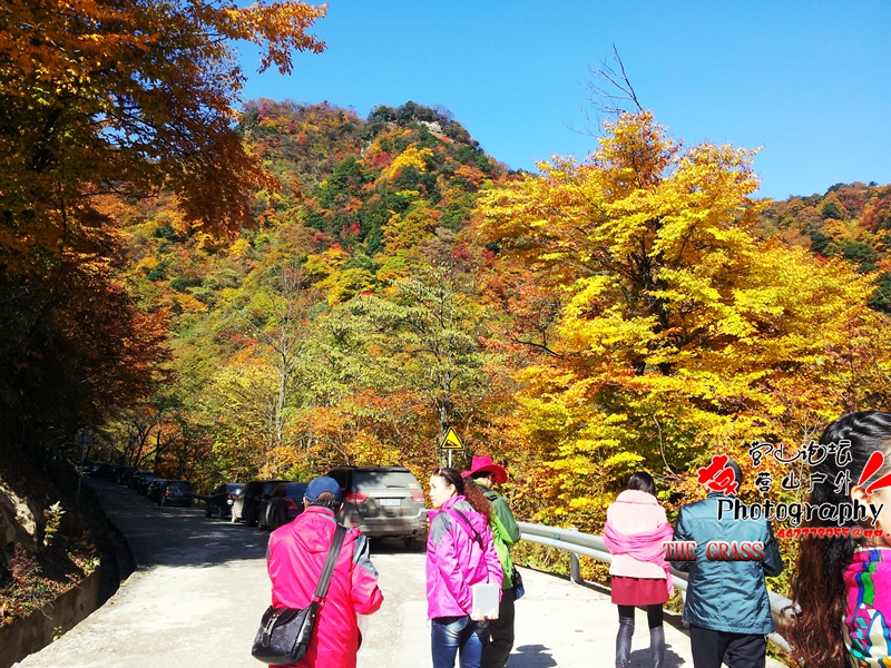 20141023_103329_.jpg