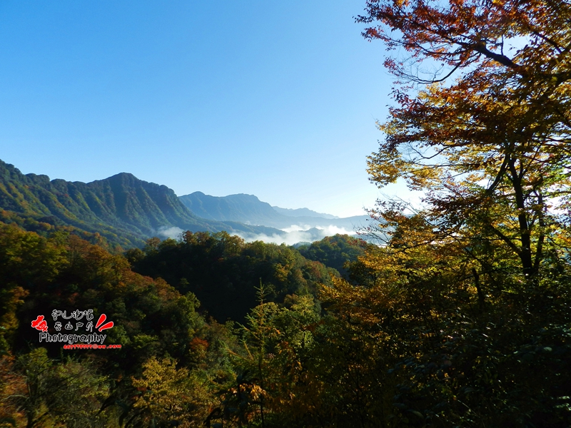 DSCN0274_.jpg