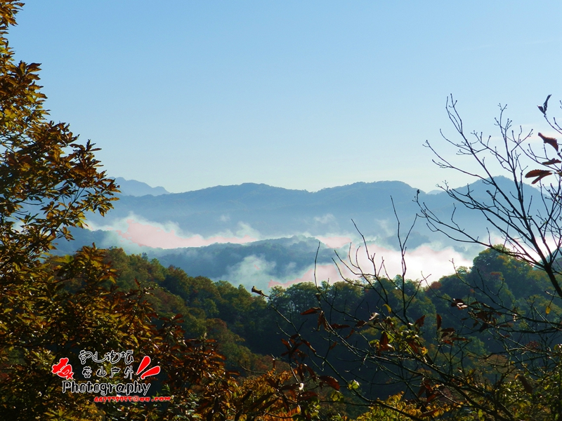 DSCN0279_.jpg