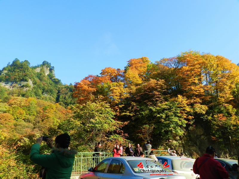 DSCN0299_.jpg