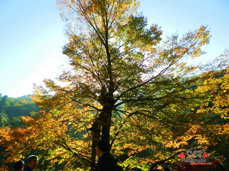 DSCN0313_.jpg