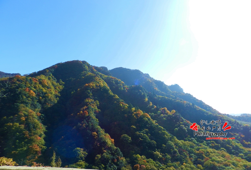 DSCN0345_.jpg