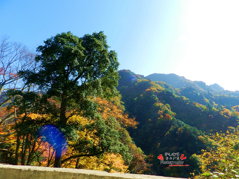 DSCN0347_.jpg