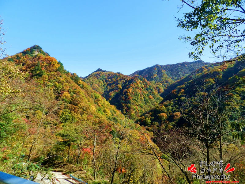 DSCN0353_.jpg