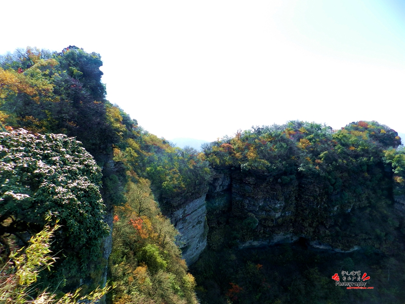 DSCN0472_.jpg