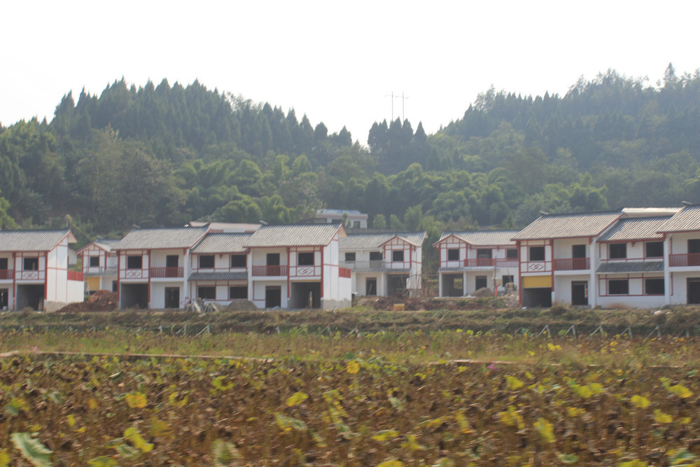 192.JPG