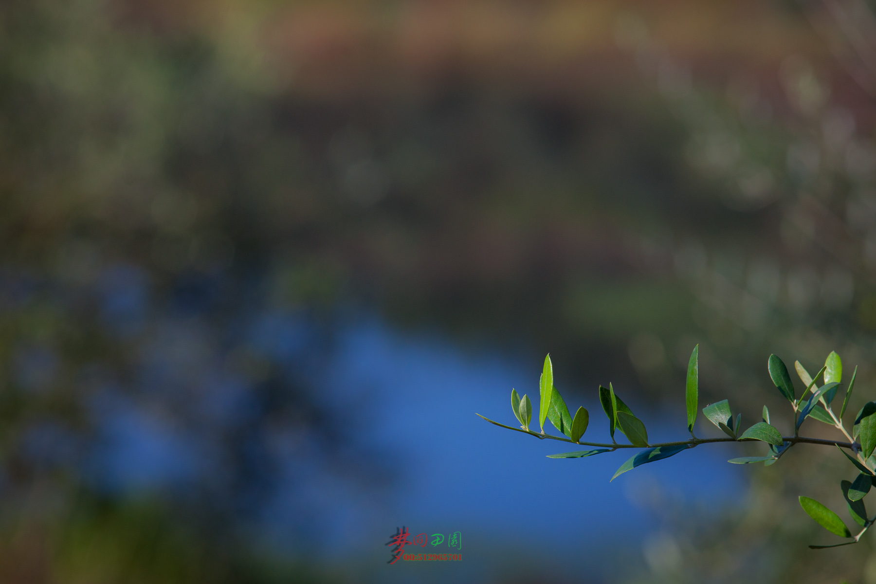 IMG_9885.jpg
