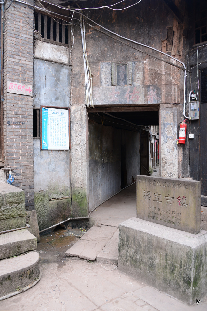 DSC_3811.JPG