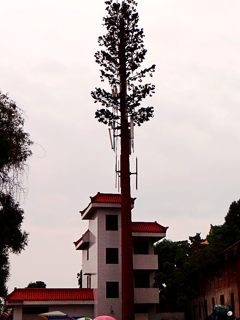 DSC07235_conew1.jpg