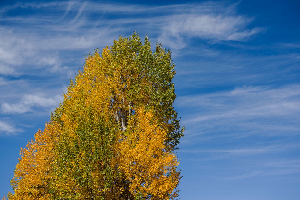 DSC_8654_.jpg