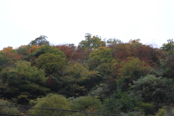 IMG_2768.JPG