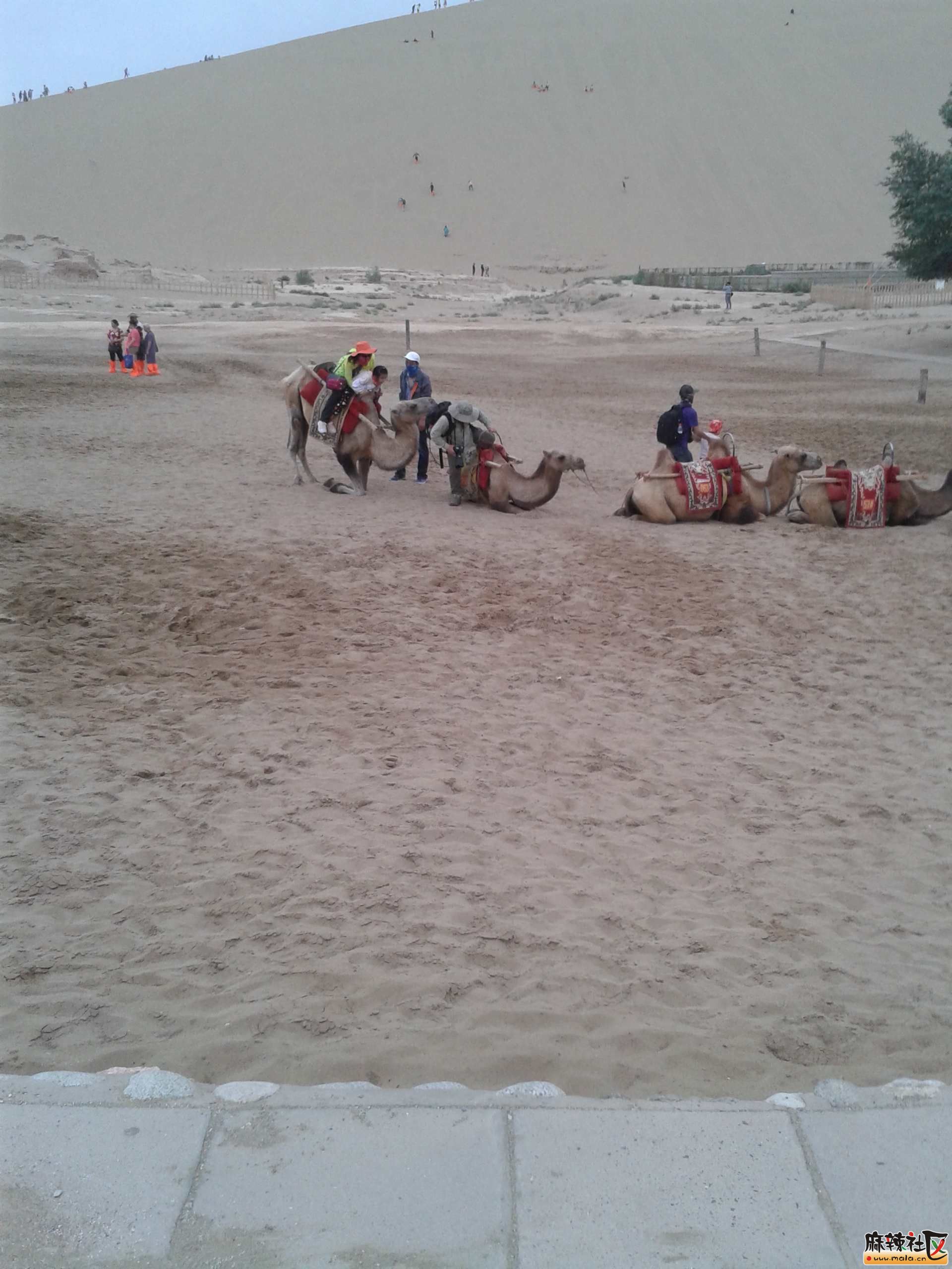 20140809_201149.jpg