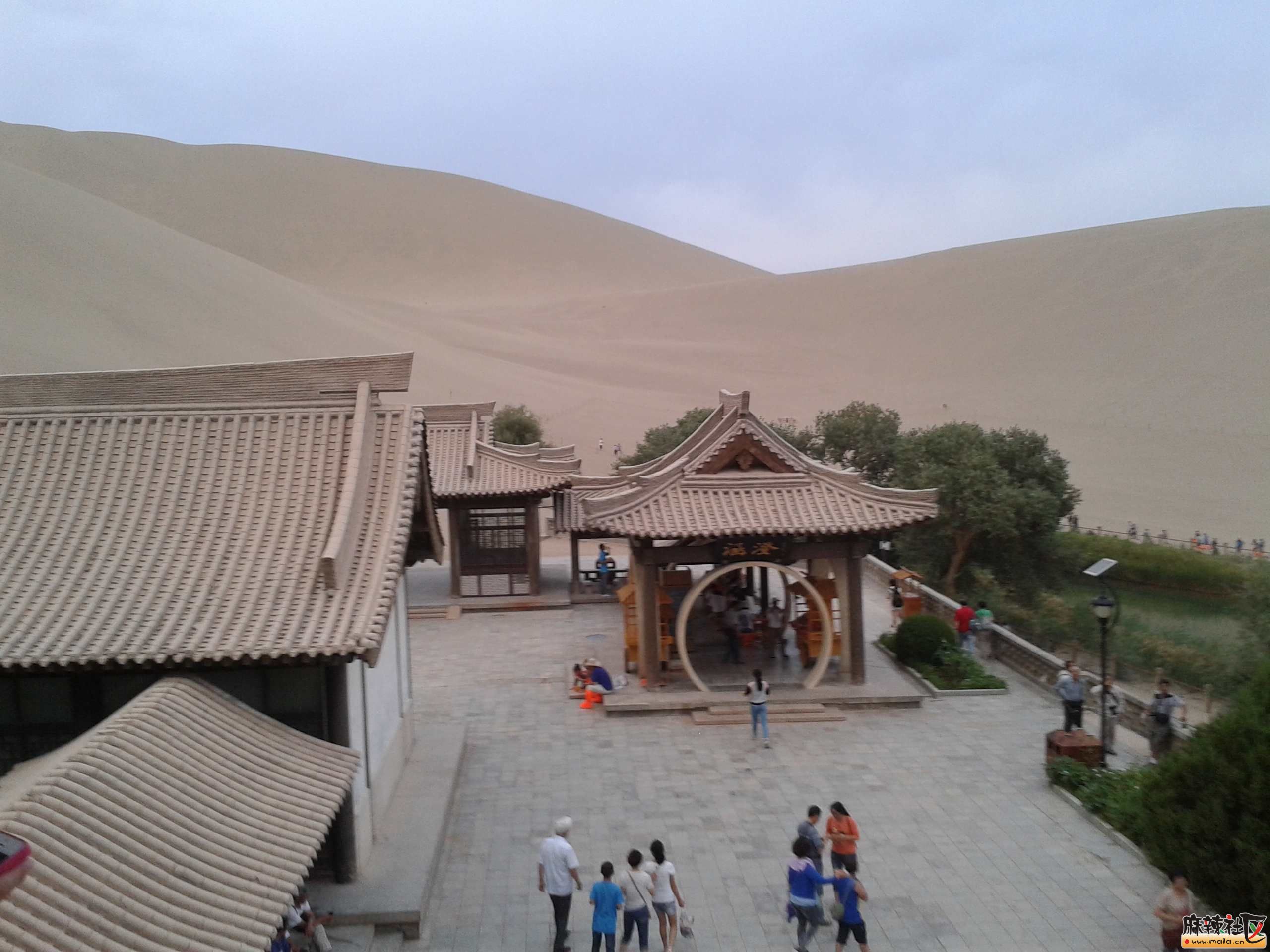 20140809_202823.jpg