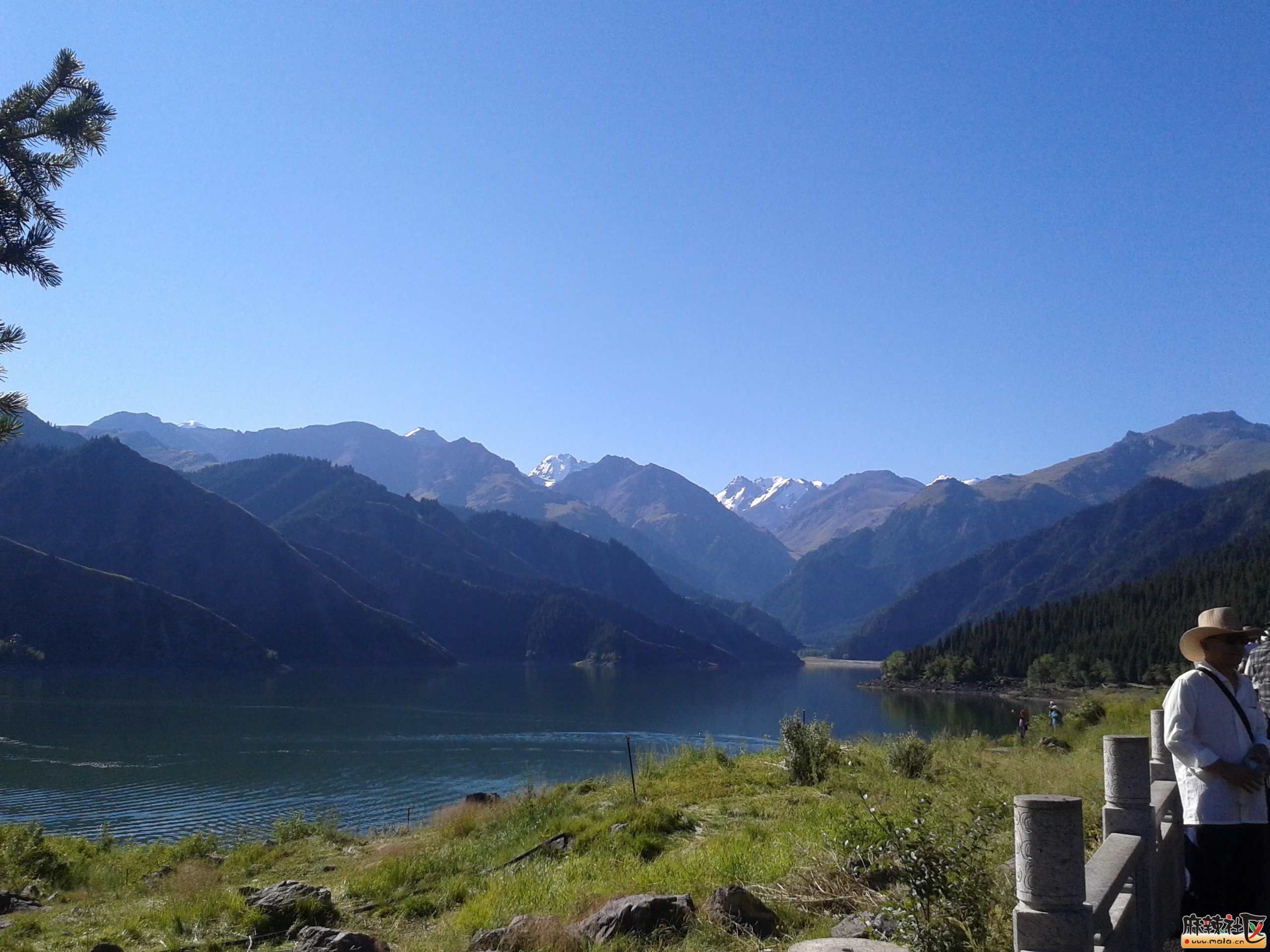 20140811_101523.jpg