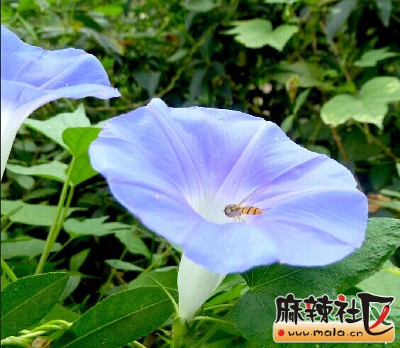 QQͼƬ20141103103810.jpg