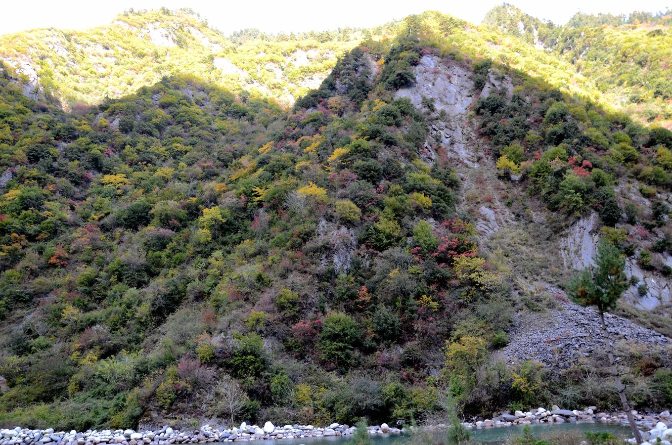 DSC_4022_.jpg