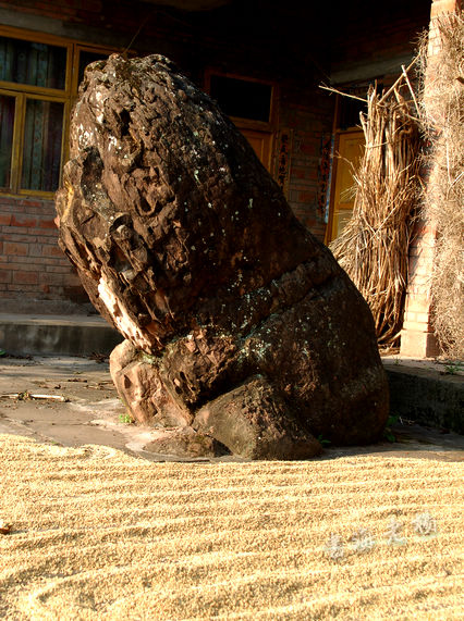 DSC_0273.JPG