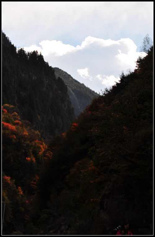 DSC_0339__.jpg