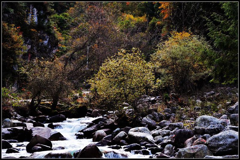 DSC_0336__.jpg