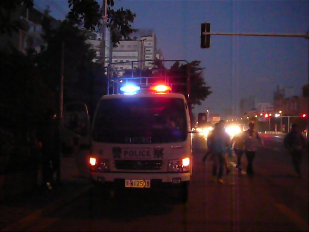 P1040459.jpg